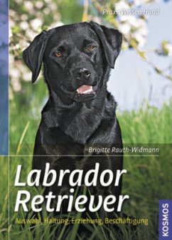 Labrador Retriever - Rauth-Widmann, Brigitte