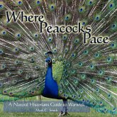Where Peacocks Pace