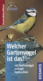 Welcher Gartenvogel ist das?