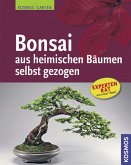 Bonsai aus heimischen Bäumen selbst gezogen Bonsai aus heimischen Bäumen selbst gezogen