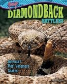 Diamondback Rattlers: America's Most Venomous Snakes!