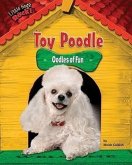 Toy Poodle: Oodles of Fun