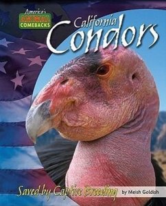 California Condors: Saved by Captive Breeding - Goldish, Meish