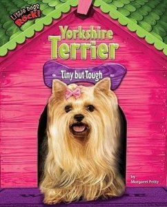 Yorkshire Terrier: Tiny But Tough - Fetty, Margaret