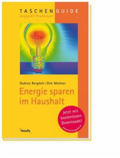 Energiesparen im Haushalt - Bergdolt, Gudrun; Mattner, Dirk