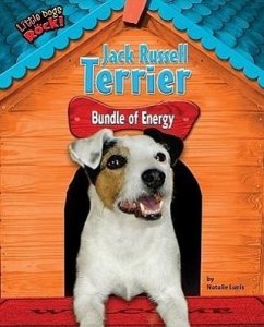 Jack Russell Terrier: Bundle of Energy - Lunis, Natalie