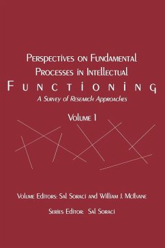 Perspectives on Fundamental Processes in Intellectual Functioning - Soraci, Sal; McIlvane, William J.