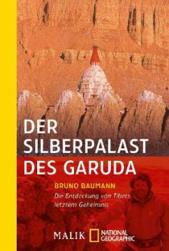 Der Silberpalast des Garuda - Baumann, Bruno