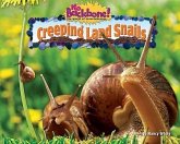 Creeping Land Snails