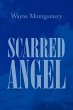 Scarred Angel - Bild 1