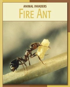 Fire Ant - Somervill, Barbara A