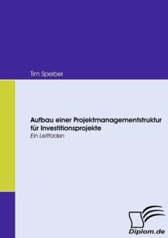 Aufbau einer Projektmanagementstruktur für Investitionsprojekte - Sperber, Tim