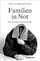Cover Familien in Not, Wie kann Sozialarbeit helfen?