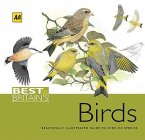 Best of Britain's Birds: Beautifully Illustrated Guide to Over 250 Species