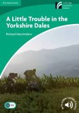 A Litte Trouble in the Yorkshire Dales