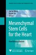 Mesenchymal Stem Cells for the Heart - Bild 1