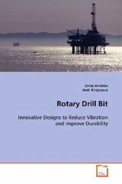 Rotary Drill Bit - Aminfar, Omid