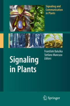 Signaling in Plants - Baluska, Frantisek / Mancuso, Stefano (ed.)