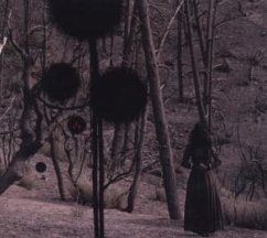 Cover Not In Rivers,But In Drops