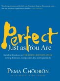 Perfect Just as You Are: Buddhist Practices on the Four Limitless Ones: Loving-Kindness, Compassion, Joy, and Equanimity