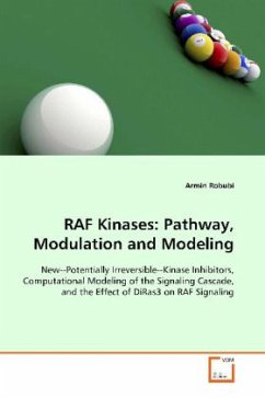 RAF Kinases: Pathway, Modulation and Modeling - Robubi, Armin