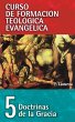 Doctrinas de la Gracia - Bild 1