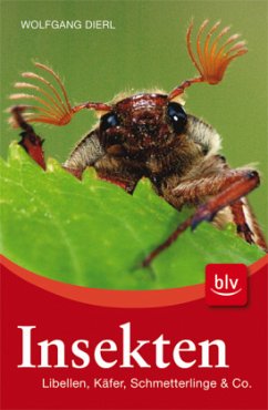Insekten - Dierl, Wolfgang