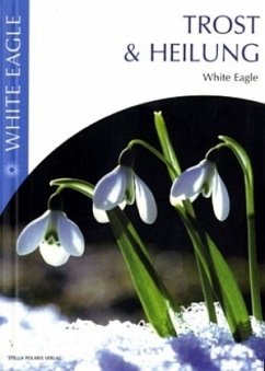 Cover Trost & Heilung