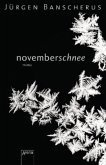 Novemberschnee