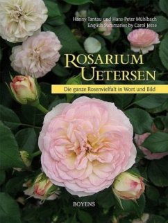 Rosarium Uetersen - Tantau, Hanny;Mühlbach, Hans P