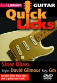 Slow Blues Style David Gilmour Key Gm DVD-Video Lick Library Quick Licks