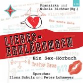 Liebes-Erklärungen - Ein Sex-Hörbuch Liebes-Erklärungen - Ein Sex-Hörbuch
