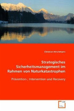 Strategisches Sicherheitsmanagement im Rahmen von Naturkatastrophen - Hirschmann, Christian