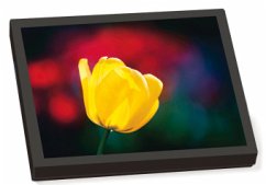 Cover KartenKästchen Tulpen