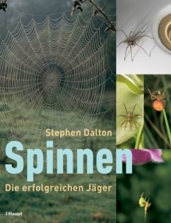 Spinnen - Dalton, Stephen