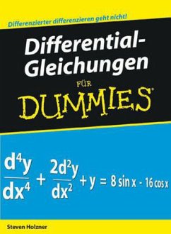 Differentialgleichungen für Dummies - Holzner, Steven