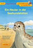 Ein Heuler in der Seehundstation