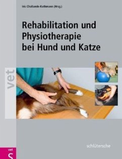 Rehabilitation und Physiotherapie bei Hund und Katze