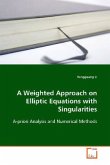 A Weighted Approach on Elliptic Equations with Singularities