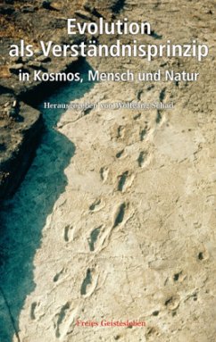 Evolution als Verständnisprinzip in Kosmos, Mensch und Natur