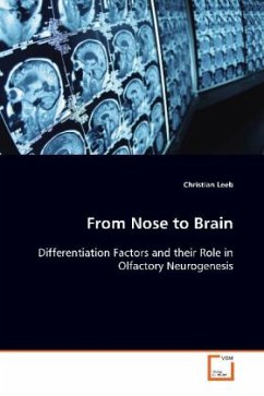 From Nose to Brain - Leeb, Christian
