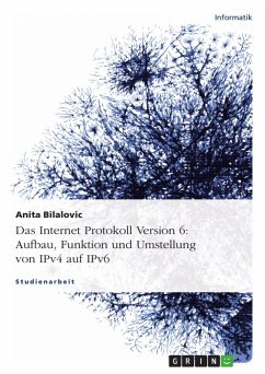 Das Internet Protokoll Version 6: Aufbau, Funktion und Umstellung von IPv4 auf IPv6 - Bilalovic, Anita