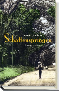 Cover Schattenspringen