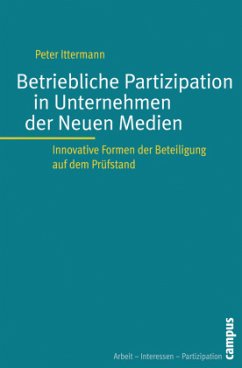 Betriebliche Partizipation in Unternehmen der Neuen Medien - Ittermann, Peter
