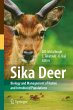 Sika Deer - Bild 1
