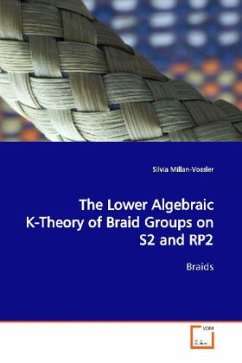 The Lower Algebraic K-Theory of Braid Groups on S2 and RP2 - Millan-Vossler, Silvia