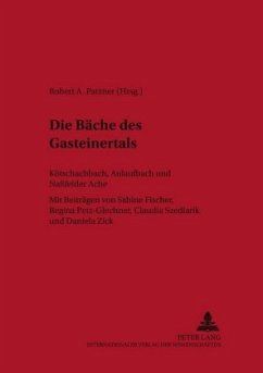 Die Bäche des Gasteinertals