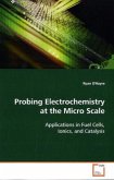 Probing Electrochemistry at the Micro Scale