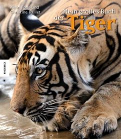 Mein großes Buch der Tiger - Pons, Alain; Baillet, Christine