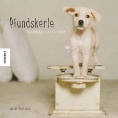 Pfundskerle - Montrose, Sharon